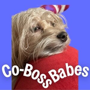 WELCOME TO OUR CLOSET! ENJOY LOOKING & FEEL FREE TO SEND A REASONABLE OFFER!💚💚💚